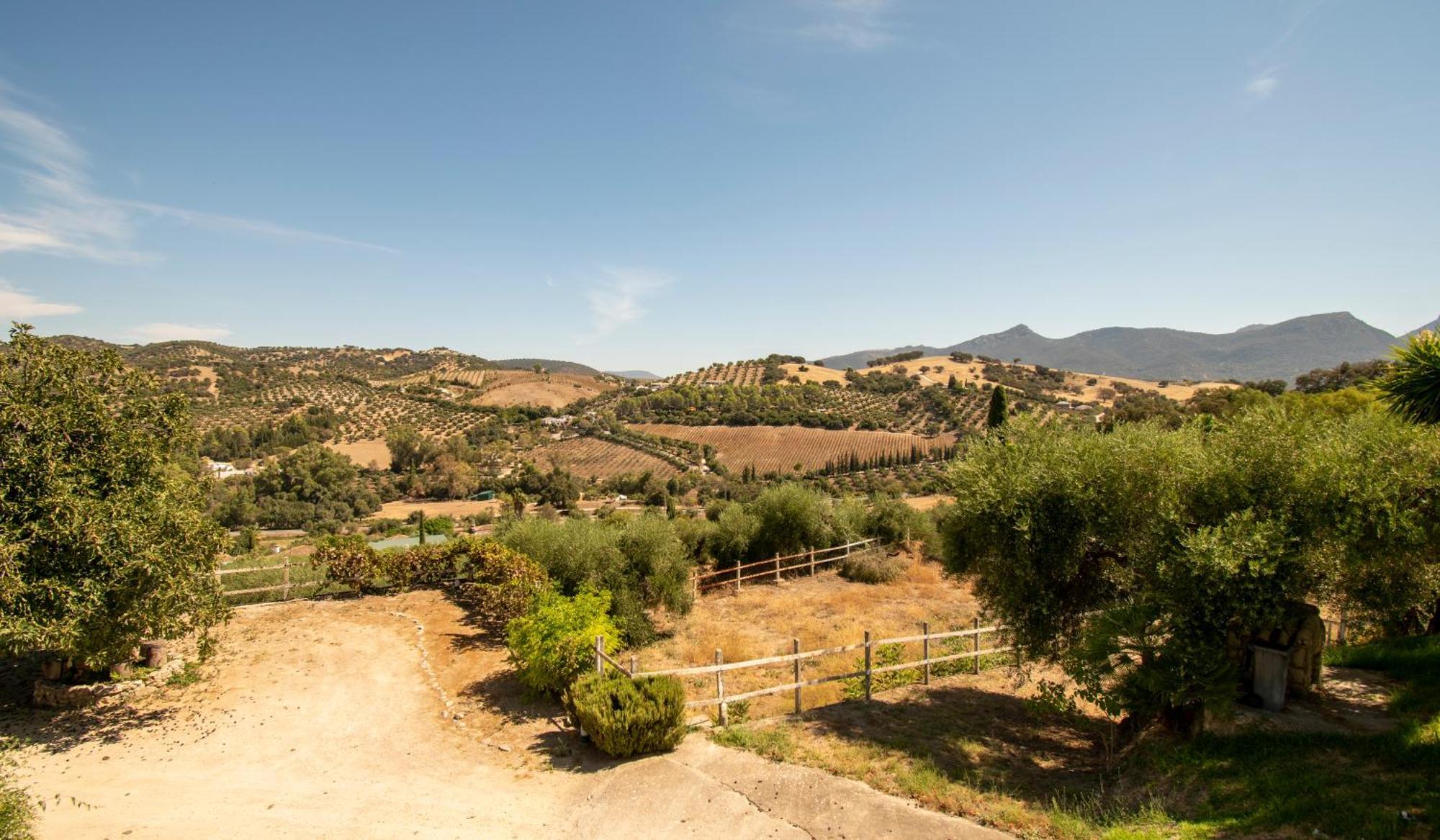 Casa Rural El Carmen Prado Del Rey Exterior photo