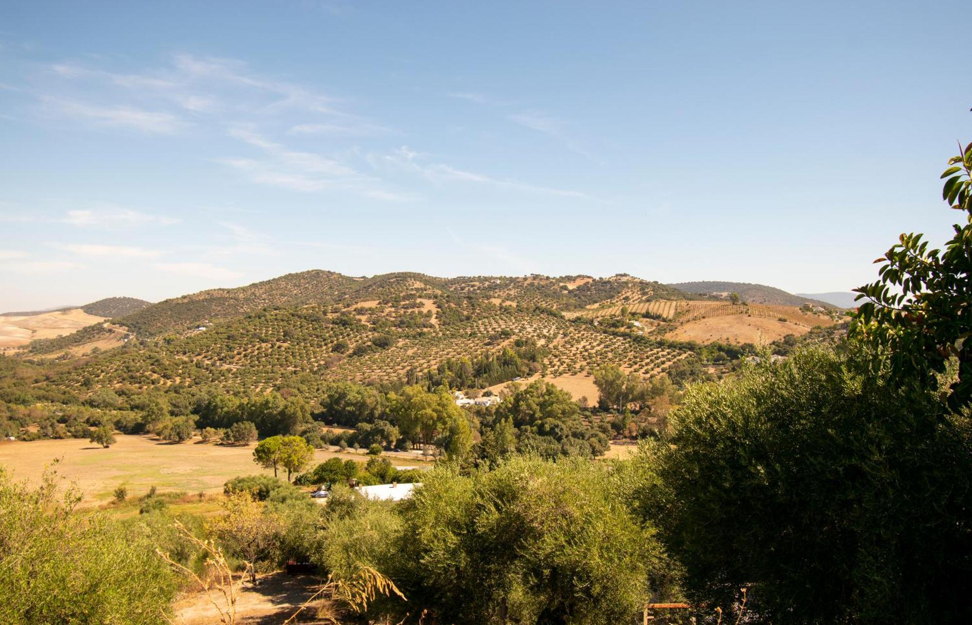 Casa Rural El Carmen Prado Del Rey Exterior photo