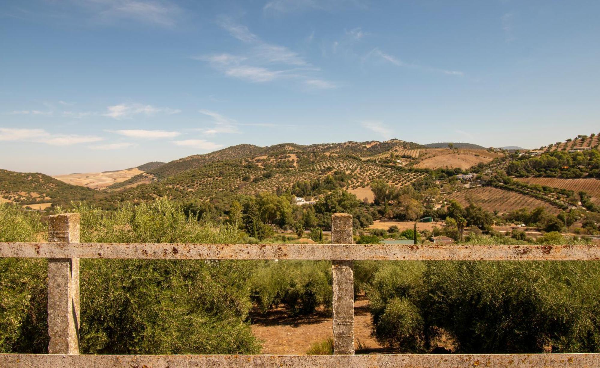 Casa Rural El Carmen Prado Del Rey Exterior photo